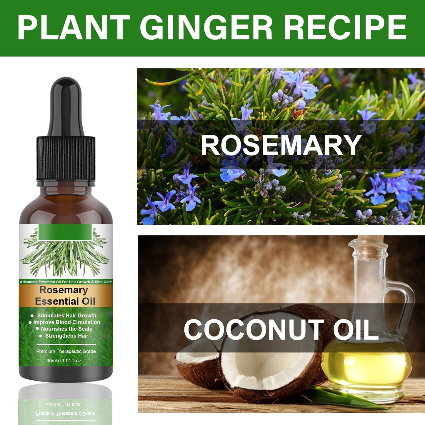 Rosemary essential oil bottle and coconut oil with text 'Plant Ginger Recipe' and 'Rosemary' and 'Coconut Oil'.