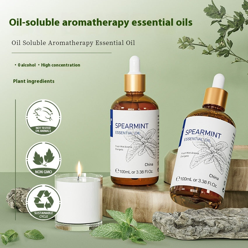 Spearmint Essential Oil – Lasting Fragrance & Soluble Care (100ml)