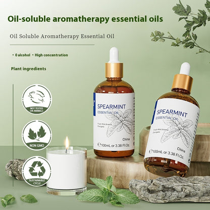 Spearmint Essential Oil – Lasting Fragrance & Soluble Care (100ml)