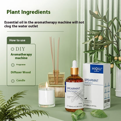 Spearmint Essential Oil – Lasting Fragrance & Soluble Care (100ml)