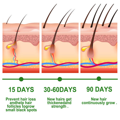 Illustration of hair growth process with time frames and effects on skin
